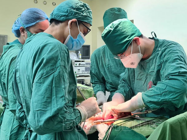 Ảnh bìa bài viết 838275