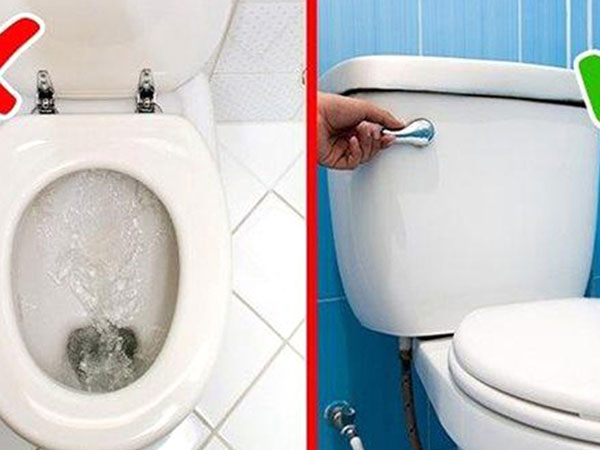 Ảnh bìa bài viết 839044