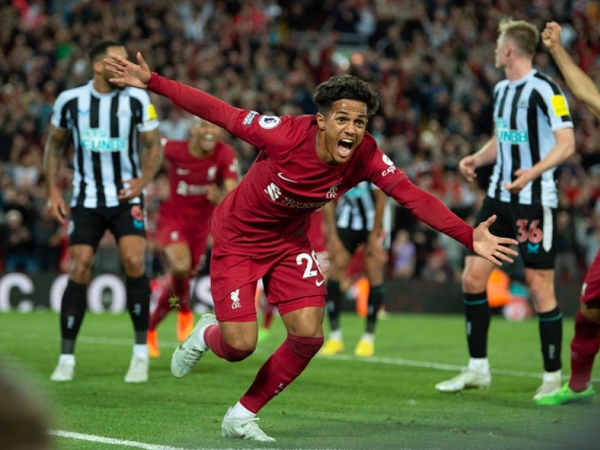 Ảnh bìa bài viết 839288