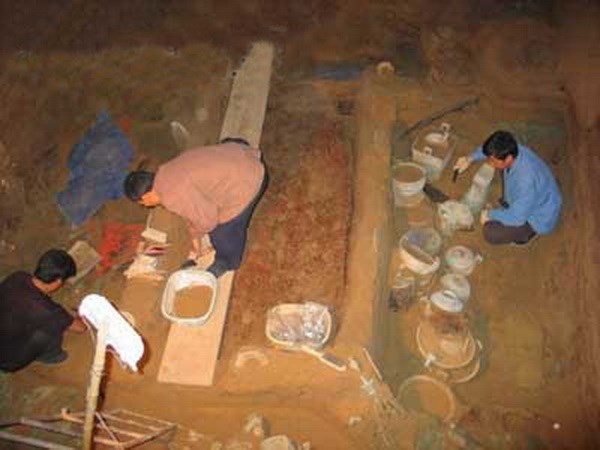 Ảnh bìa bài viết 839559