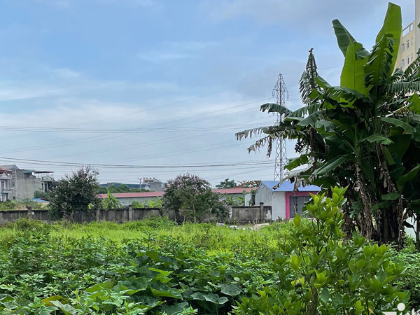 Ảnh bìa bài viết 840047