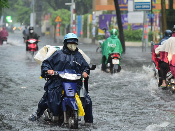 Ảnh bìa bài viết 839934