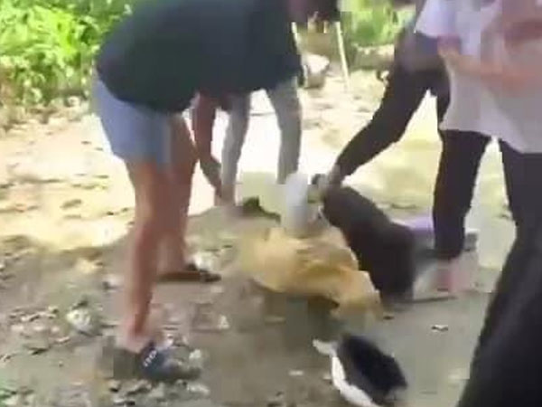 Ảnh bìa bài viết 841023