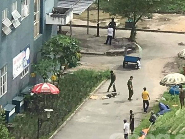 Ảnh bìa bài viết 841196