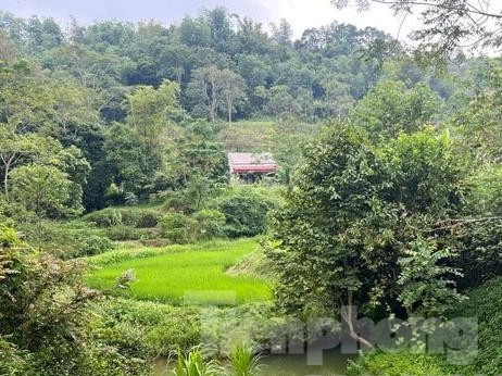 Ảnh bìa bài viết 843036