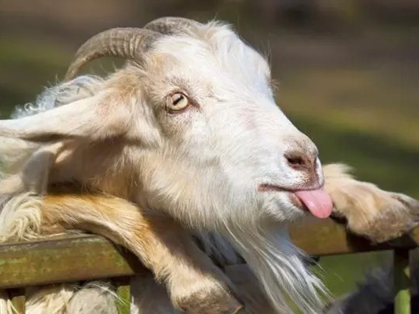 Ảnh bìa bài viết 843421