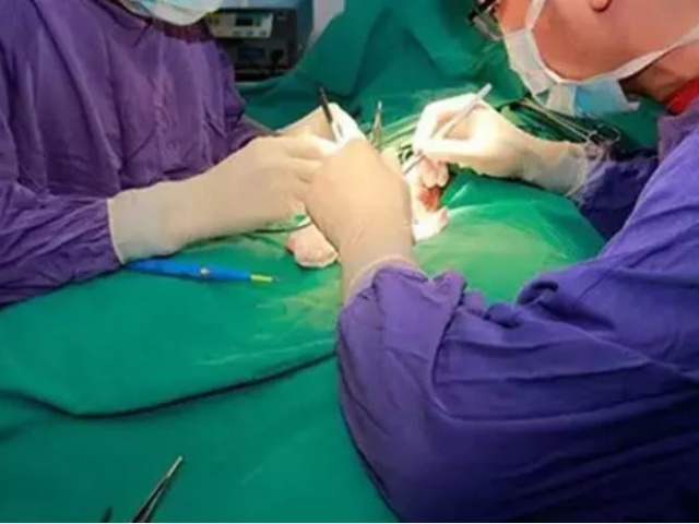 Ảnh bìa bài viết 843862