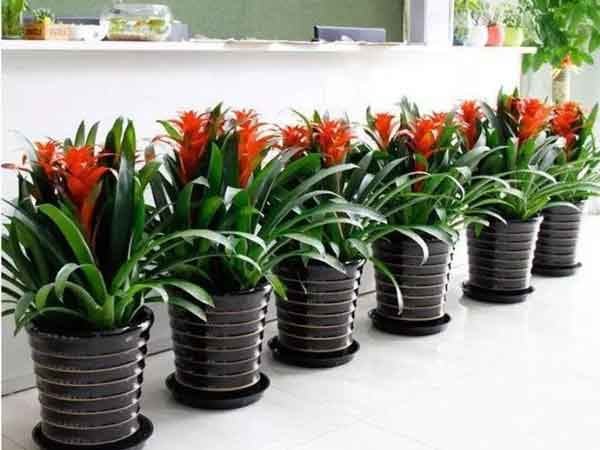 Ảnh bìa bài viết 844682