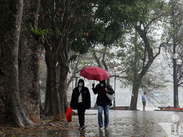 Ảnh bìa bài viết 844810