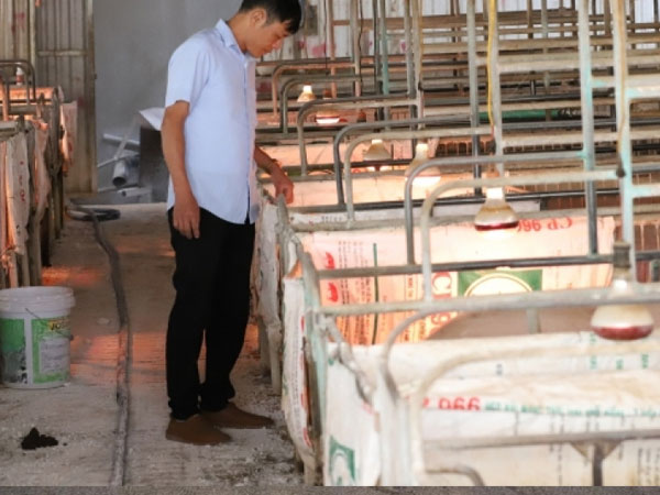 Ảnh bìa bài viết 844883