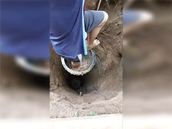 Ảnh bìa bài viết 844993