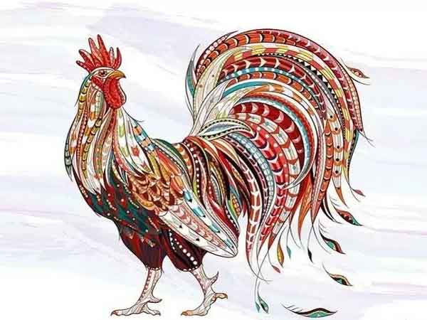 Ảnh bìa bài viết 845265