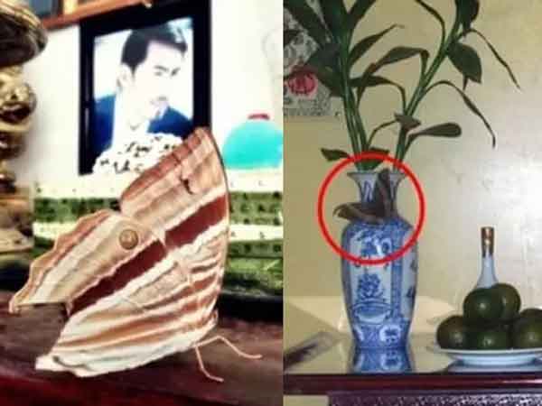 Ảnh bìa bài viết 845744