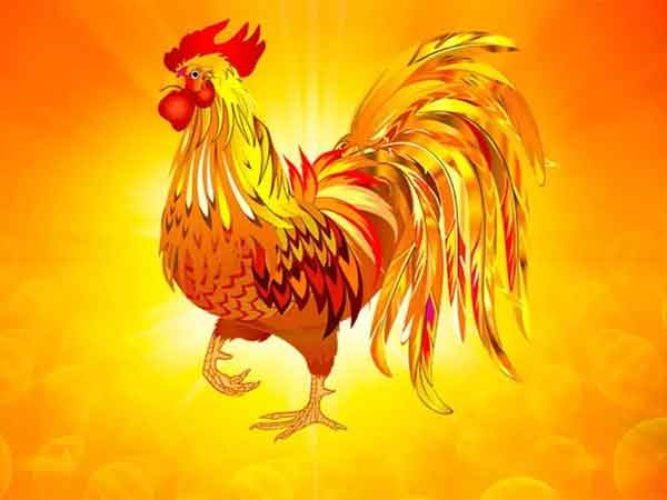 Ảnh bìa bài viết 846343