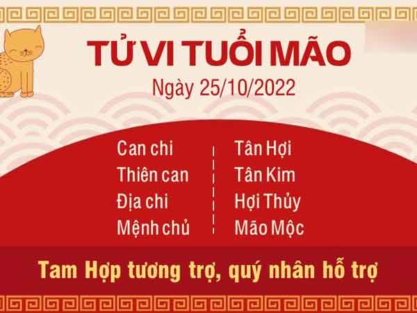Ảnh bìa bài viết 847259