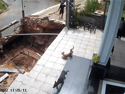 Ảnh bìa bài viết 847808