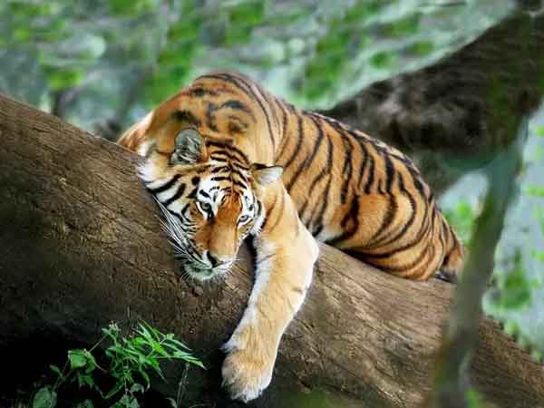 Ảnh bìa bài viết 847765