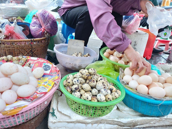 Ảnh bìa bài viết 848226