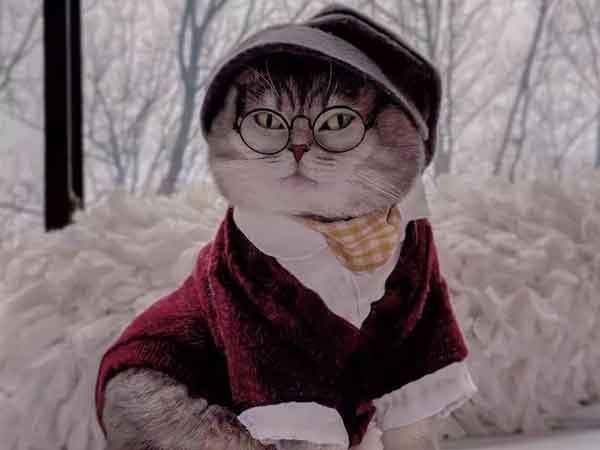 Ảnh bìa bài viết 848667