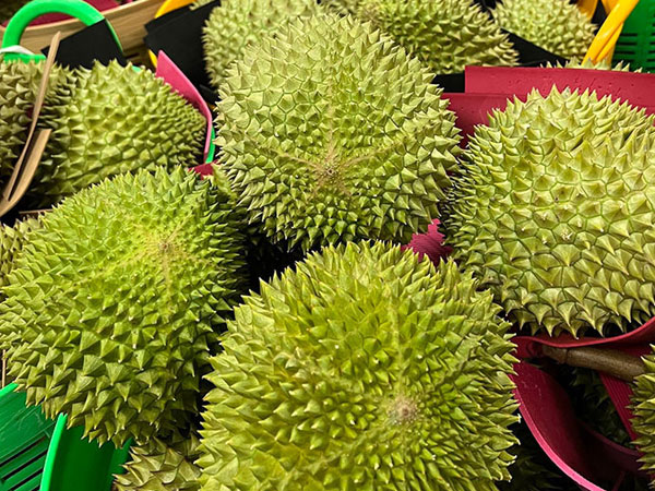 Ảnh bìa bài viết 849777