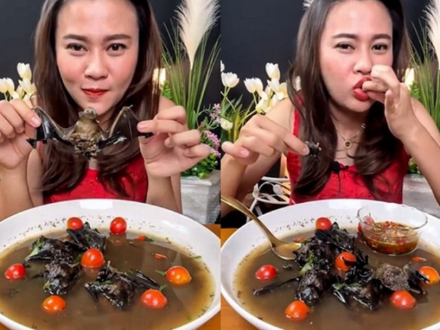 Ảnh bìa bài viết 850079