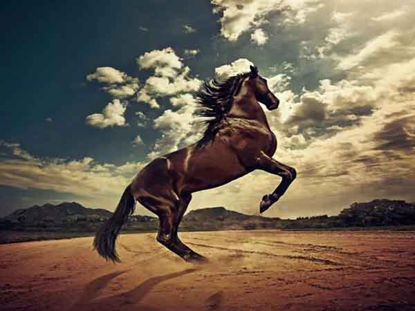 Ảnh bìa bài viết 850792