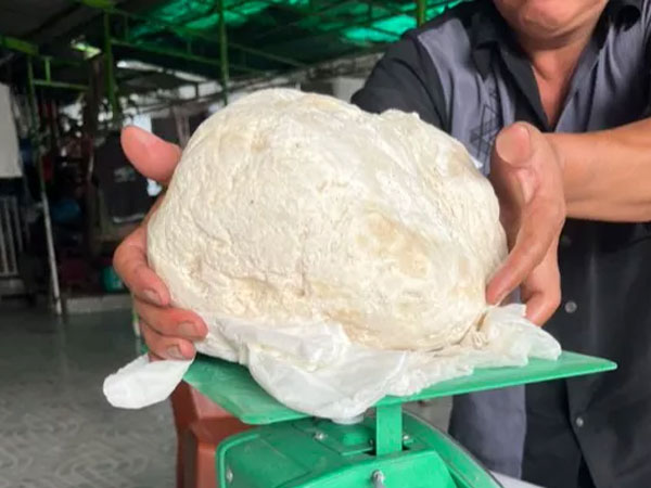 Ảnh bìa bài viết 851321