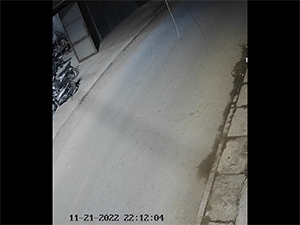 Ảnh bìa bài viết 851583