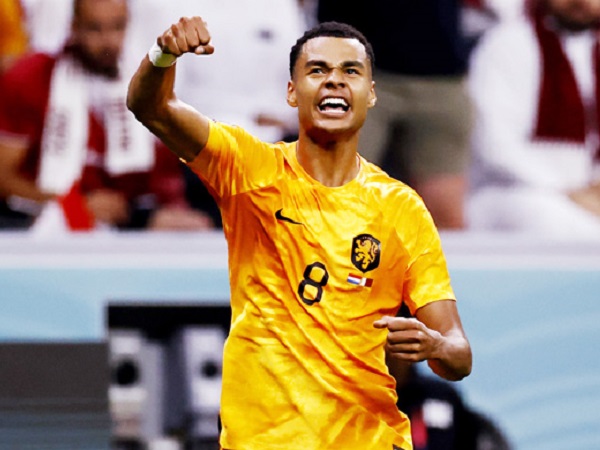 Ảnh bìa bài viết 852858