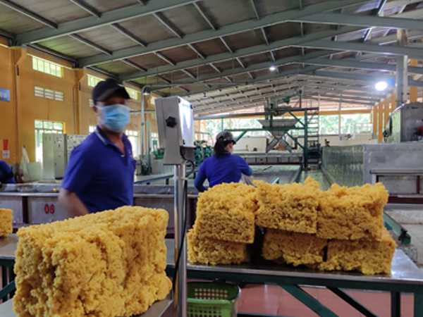 Ảnh bìa bài viết 853399