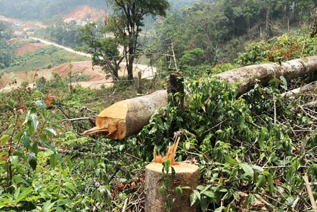 Ảnh bìa bài viết 853591