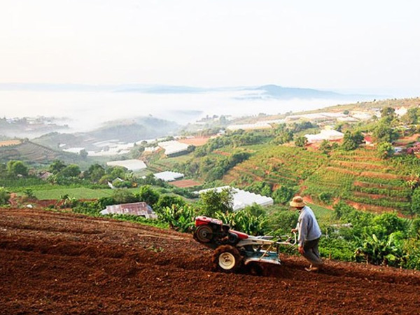 Ảnh bìa bài viết 853638