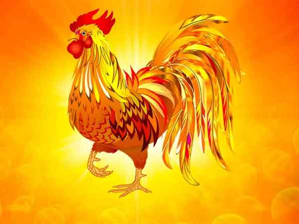 Ảnh bìa bài viết 855205