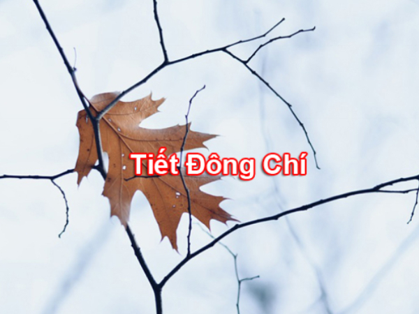 Ảnh bìa bài viết 856278