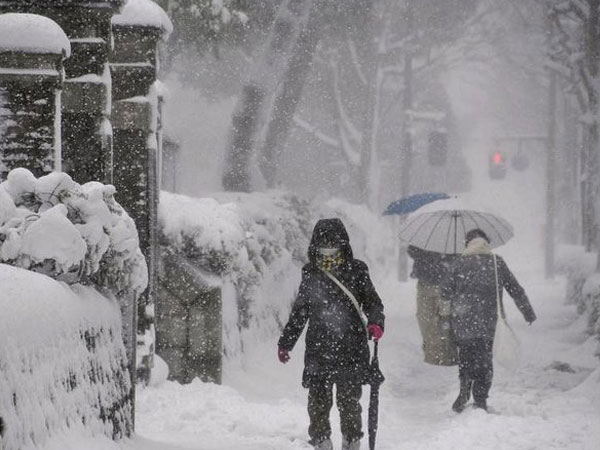 Ảnh bìa bài viết 856537