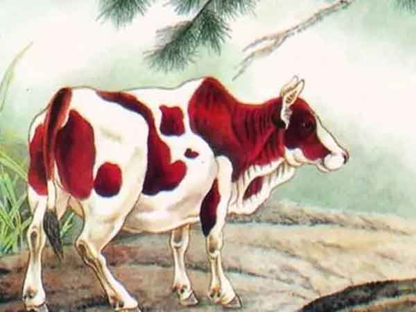 Ảnh bìa bài viết 857212