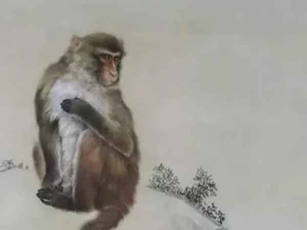 Ảnh bìa bài viết 857260