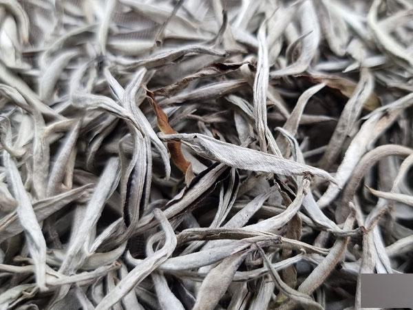 Ảnh bìa bài viết 857857