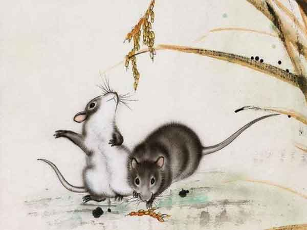 Ảnh bìa bài viết 858152