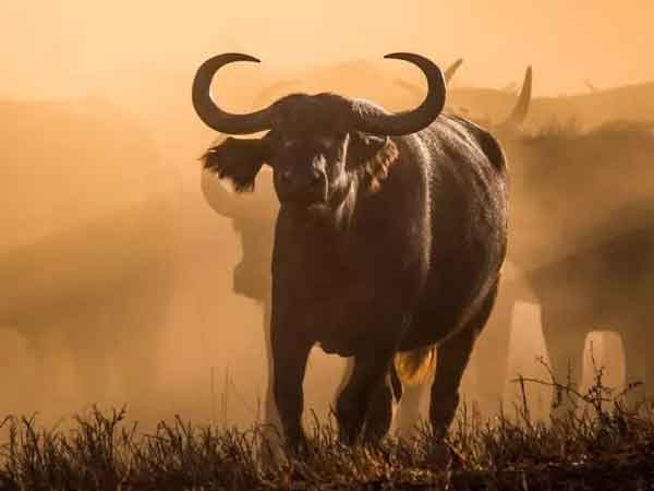 Ảnh bìa bài viết 858509