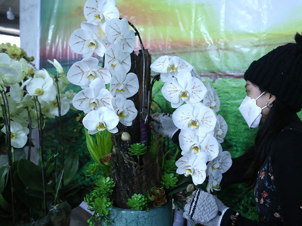 Ảnh bìa bài viết 859177
