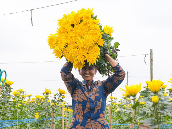 Ảnh bìa bài viết 859596