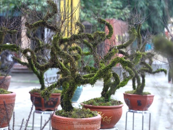 Ảnh bìa bài viết 859677