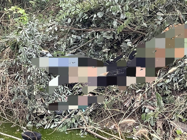 Ảnh bìa bài viết 859696