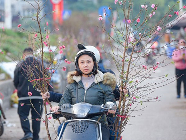 Ảnh bìa bài viết 859792