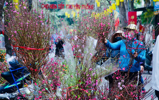 Ảnh bìa bài viết 860144