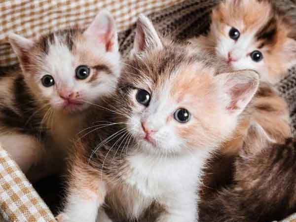 Ảnh bìa bài viết 860399