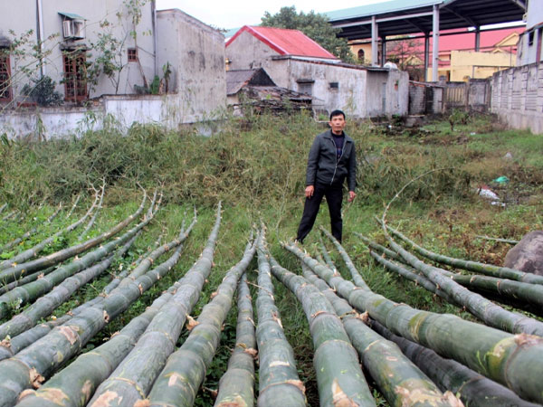 Ảnh bìa bài viết 860513