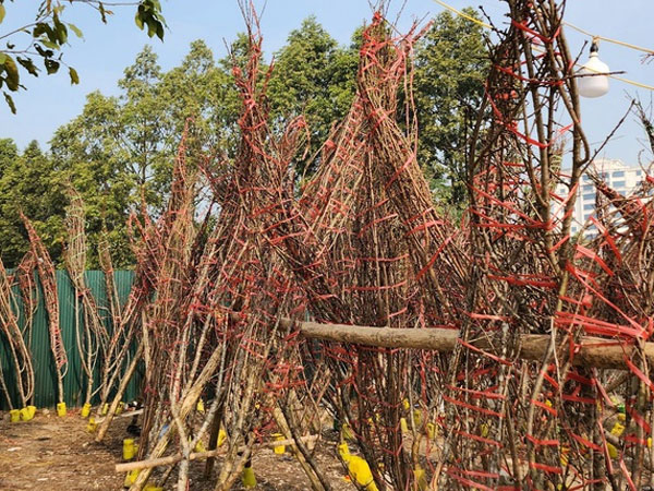 Ảnh bìa bài viết 860765