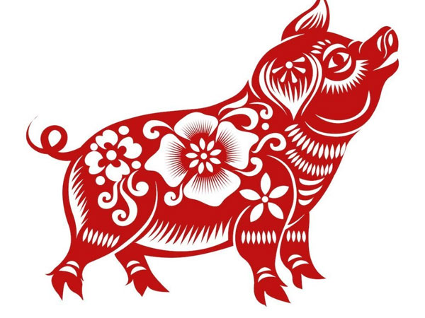 Ảnh bìa bài viết 860763